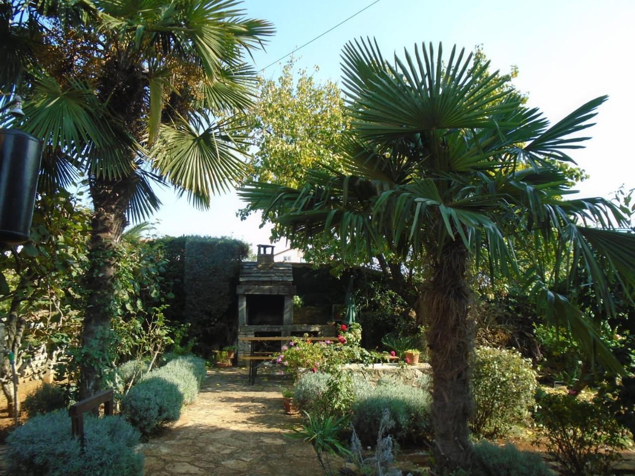 Villa Maria Novigrad Istria Esterno foto