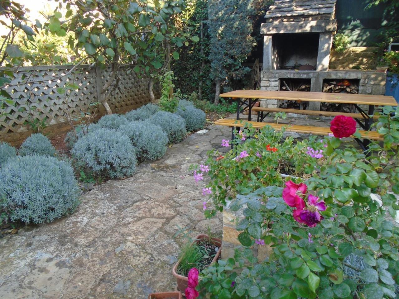 Villa Maria Novigrad Istria Esterno foto