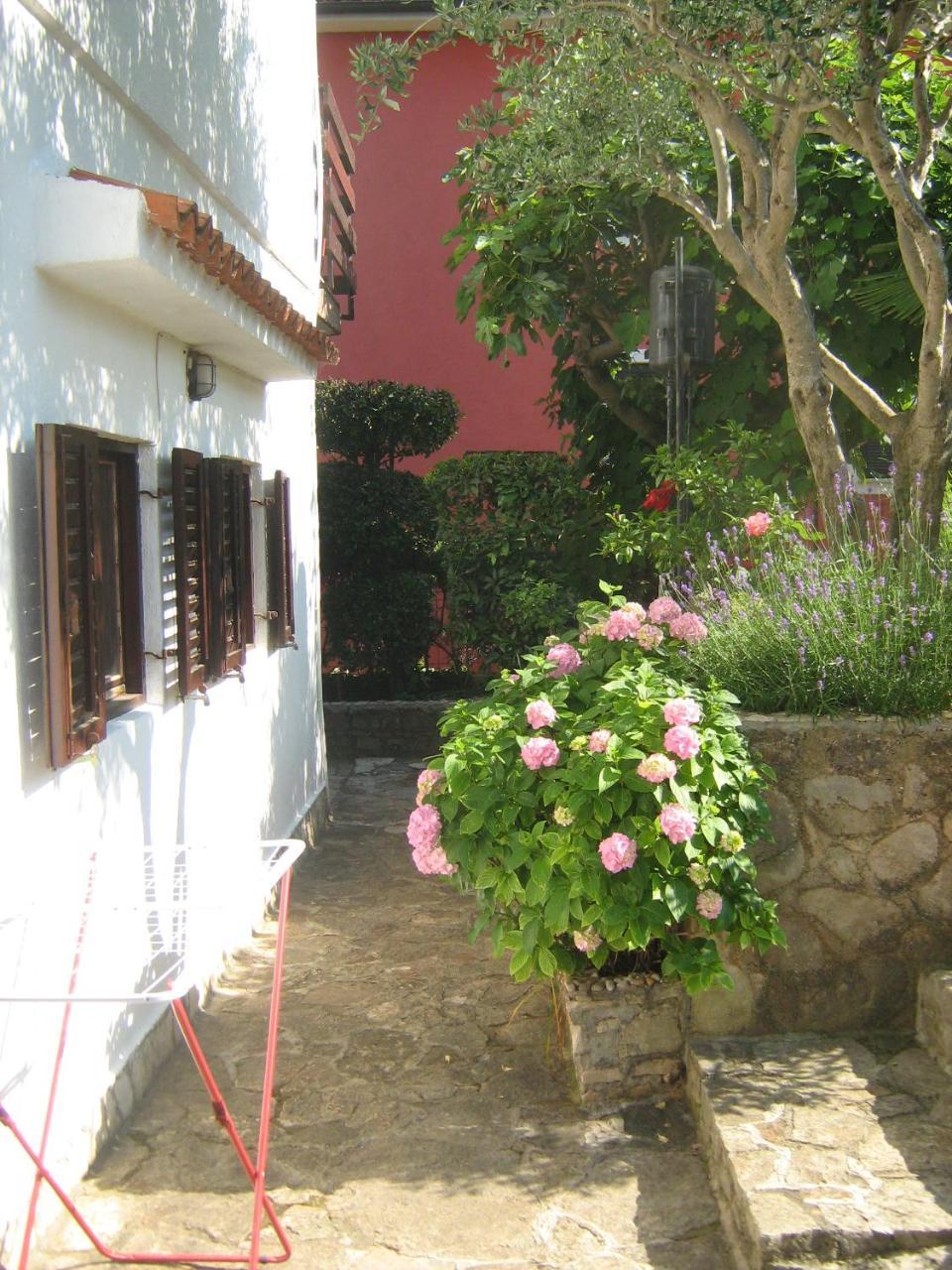 Villa Maria Novigrad Istria Esterno foto