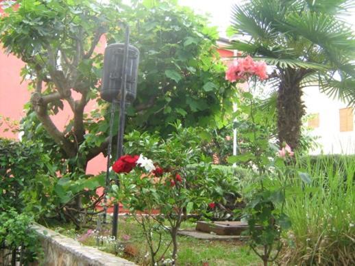 Villa Maria Novigrad Istria Esterno foto