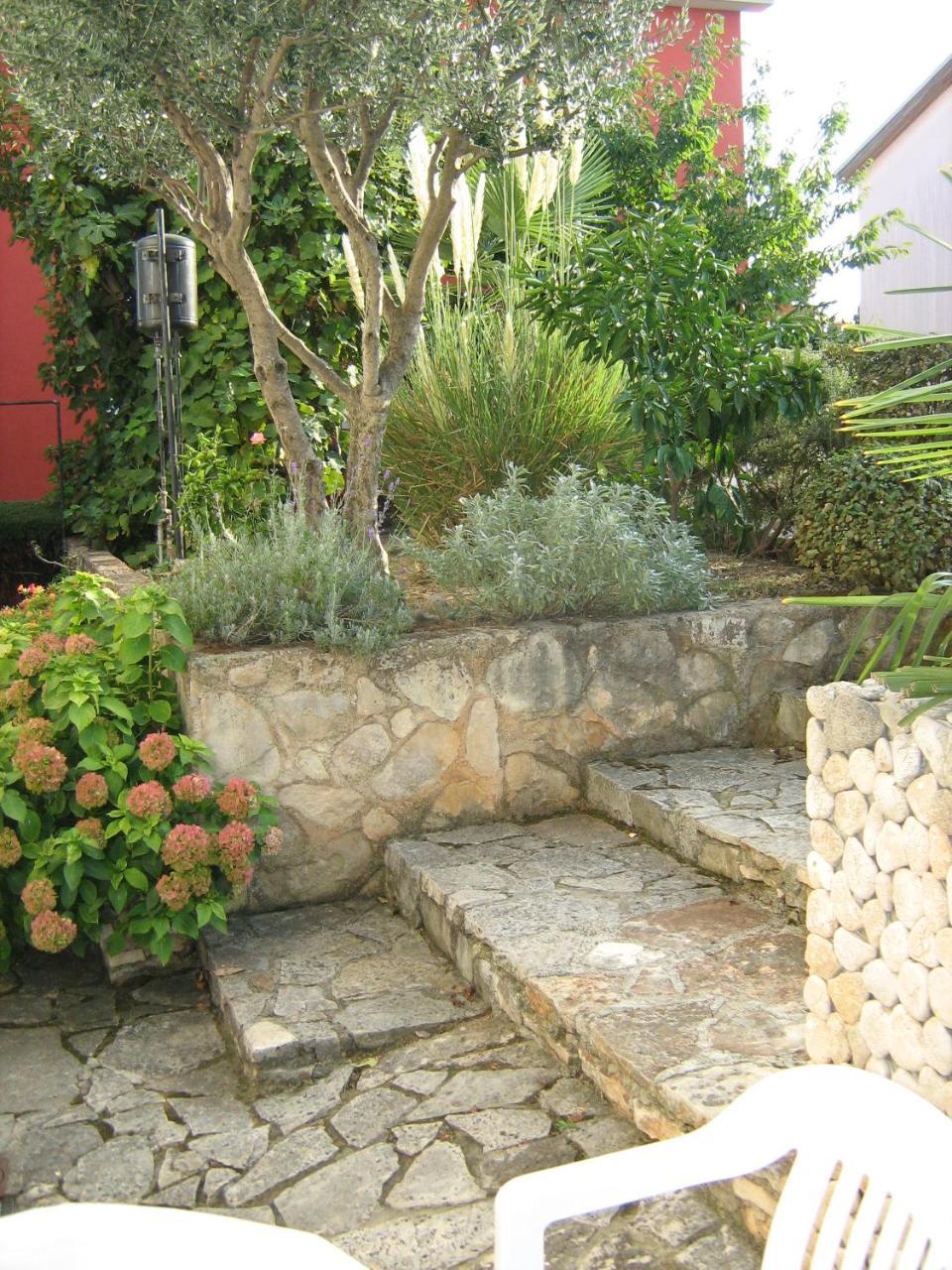 Villa Maria Novigrad Istria Esterno foto