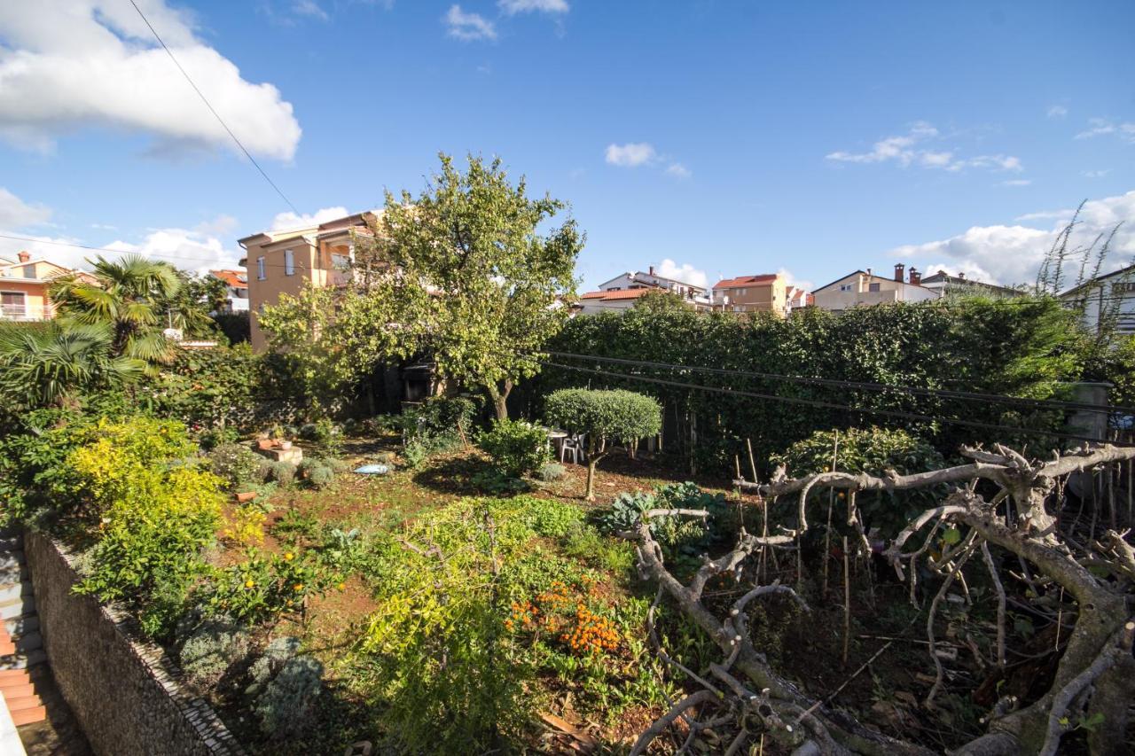 Villa Maria Novigrad Istria Esterno foto
